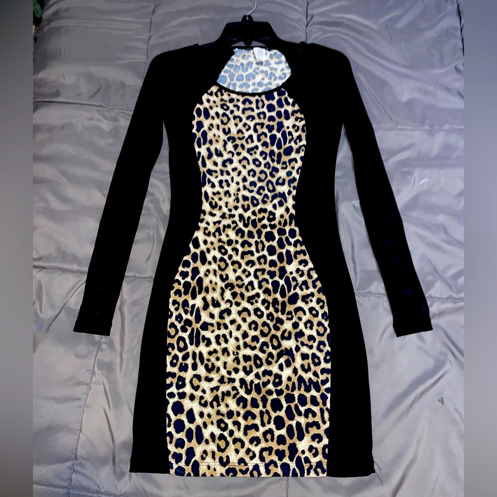 Leopard Print Minidress with Mesh Sleeves